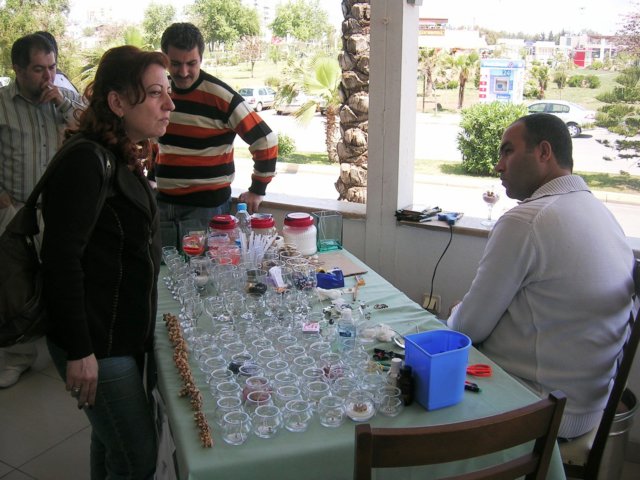 photo103.jpg
