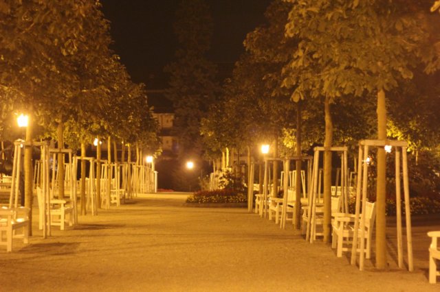 photo48.jpg