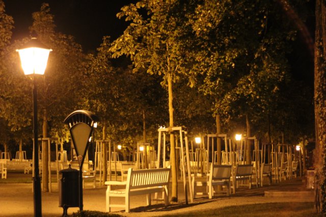 photo49.jpg